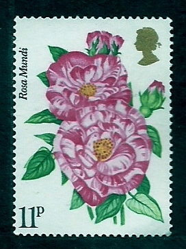Flor