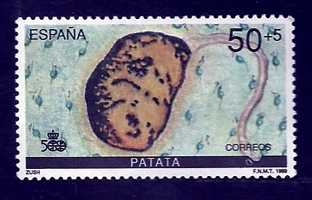 Patata
