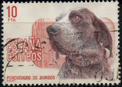 ESPAÑA_SCOTT 2334,05 $0,2