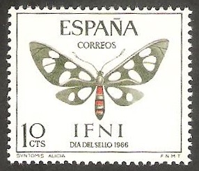 ifni - 221 - Syntomis alacia