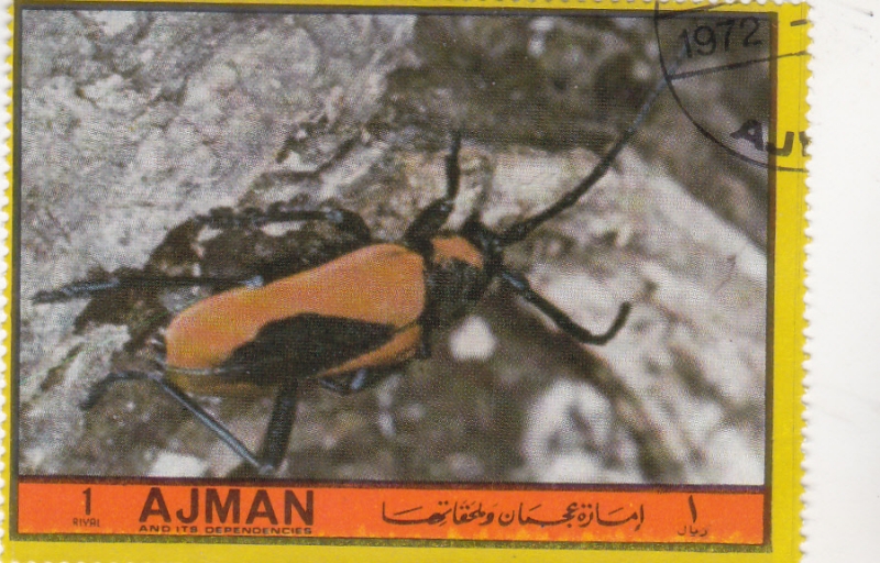 INSECTOS