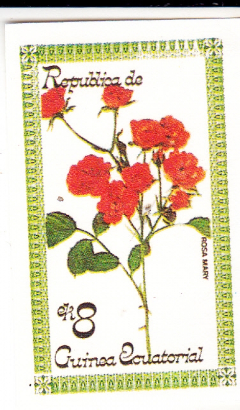 FLORES-