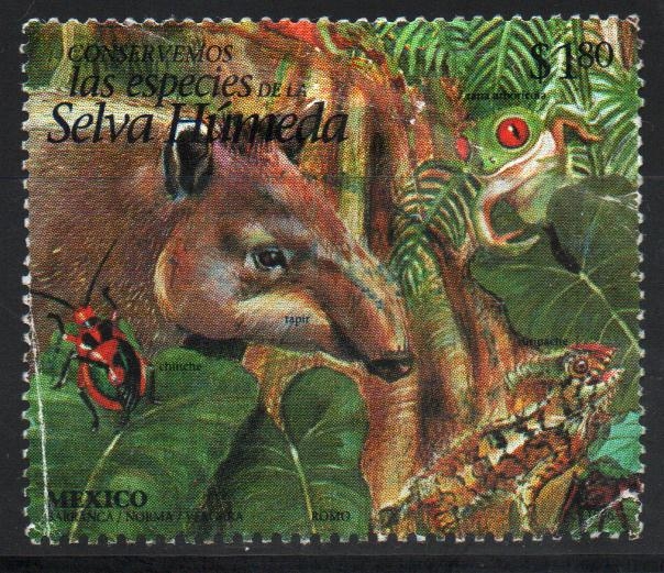 SELVA  HÚMEDA.  TAPIR, CHINCHE, RANA ARBOLEDA, ORIPACHE, HORMIGA.
