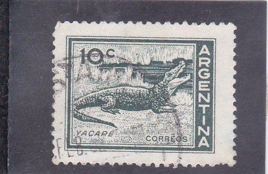 YACARÉ