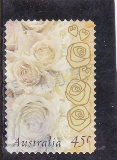 FLORES-