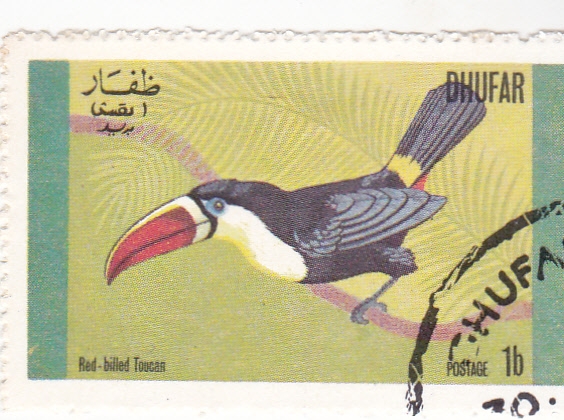 AVE- TUCAN