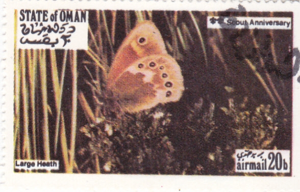 mariposa