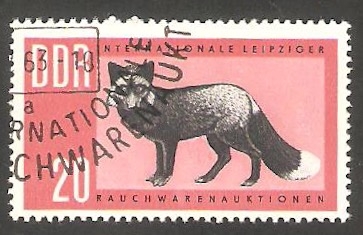 652 - Zorro