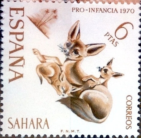 sahara español - 282 - Fenec