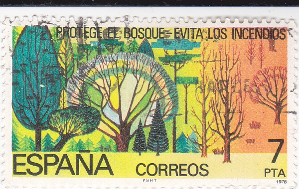 PROTEGE LOS BOSQUES-EVITA LOS INCENDIOS(30)