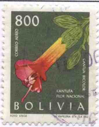 Flora boliviana