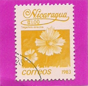 Tgetes Crecta