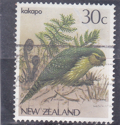 KAKAPO