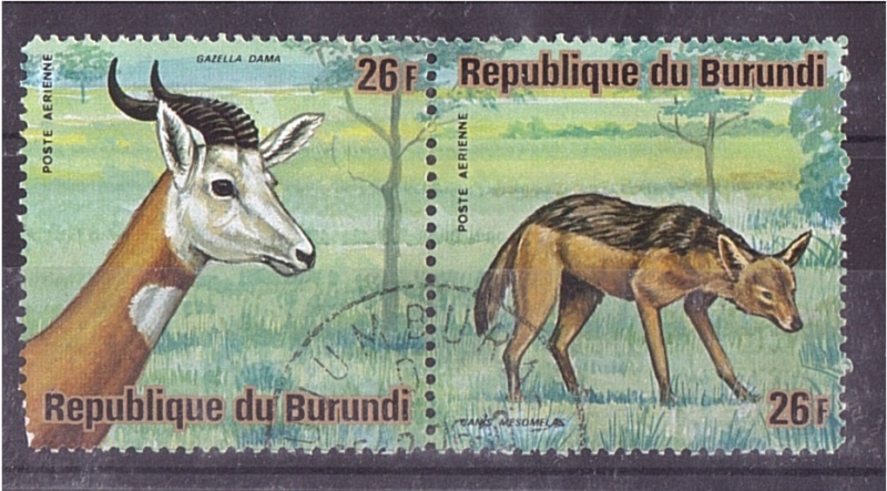 serie- Animales africanos