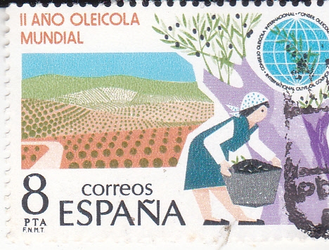 II AÑO OLEICOLA MUNDIAL(33)