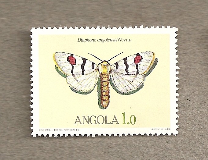 Mariposa
