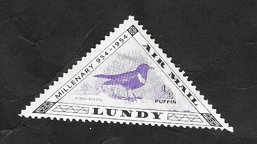 Lundy - Ave Ring Ouzel
