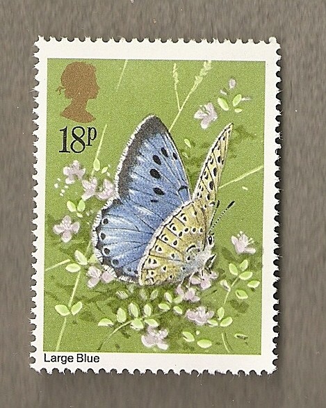 Mariposa