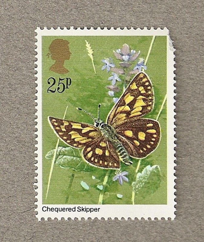Mariposa