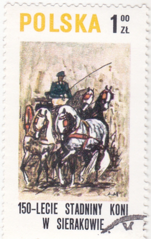 CARRUAJE