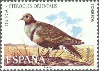 ESPAÑA 1973 2134 Sello Nuevo Fauna Hispánica Aves Ortega