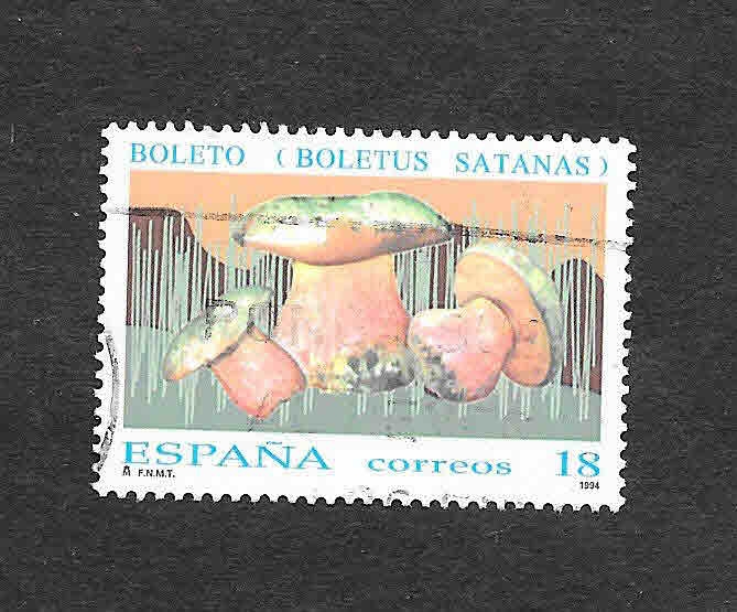 Edf 3279 - Micología