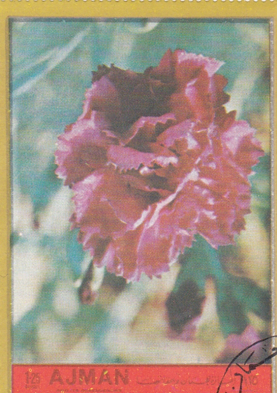 FLORES- 