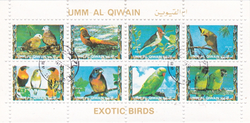AVES EXOTICAS