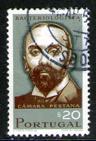 20 Cámara Pestana (bactereologo)