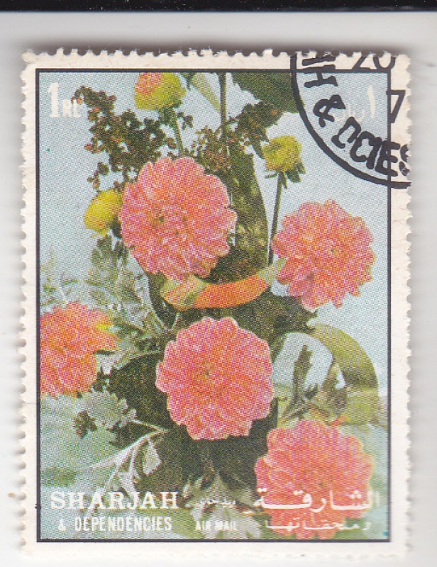 FLORES- 