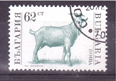 serie- Animales de granja