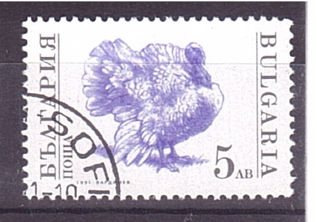 serie- Animales de granja