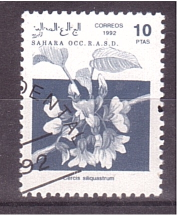 serie- Plantas