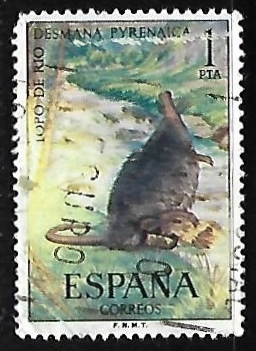 Fauna Hispánica - Topo de agua 