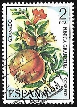 Flora - Granado
