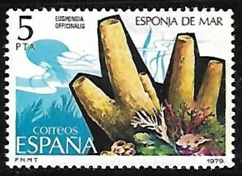 Fauna Invertebrados - Esponja de mar