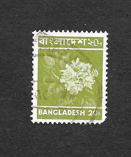 46 -Flor Hibiscus