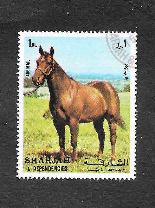 Mi1009A - Caballo
