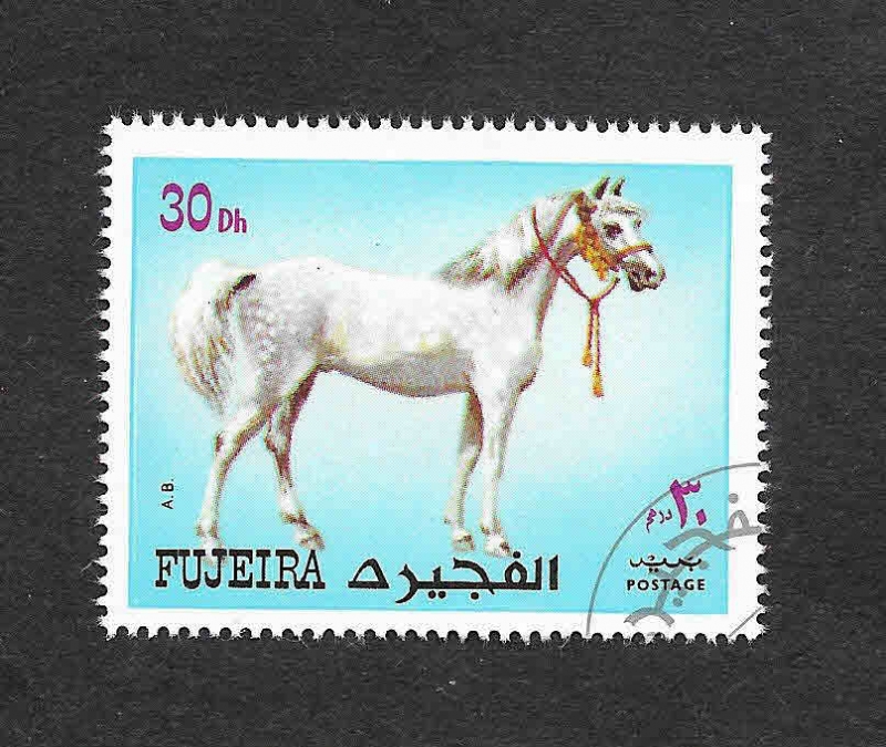 Mi1538A - Caballo