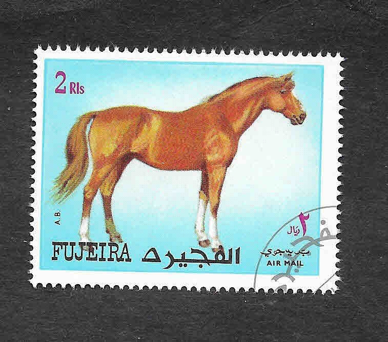 Mi1541A - Caballo