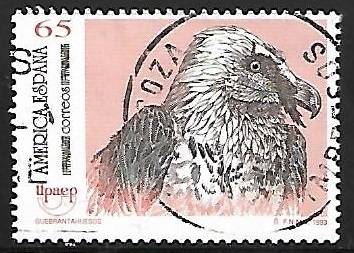 América - Aves en peligro de extinción