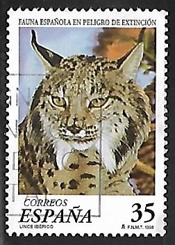 Fauna española en peligro de extinción - Lince