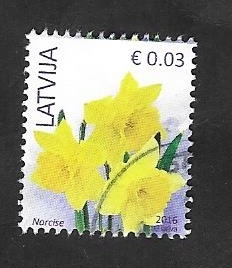 945 - Flor narciso