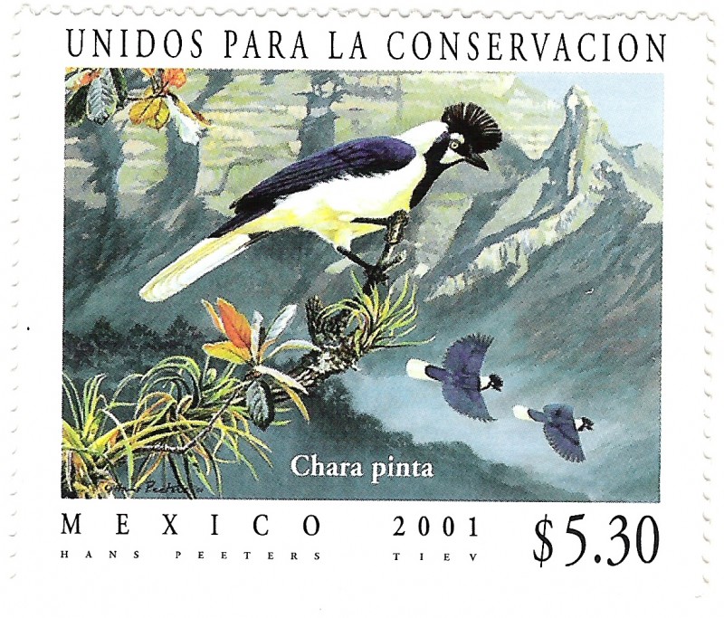 Unidos Para la Conservacion