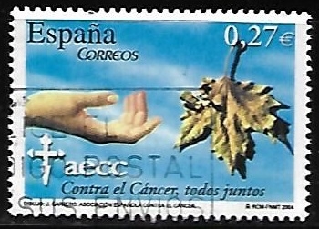Contra el cáncer, todos juntos