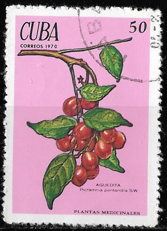 Cuba-cambio