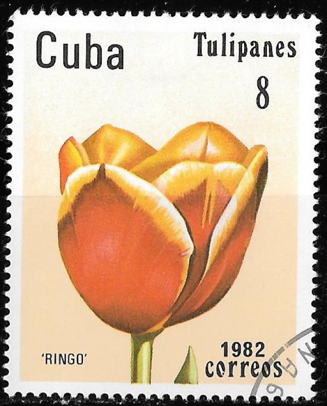 Cuba-cambio