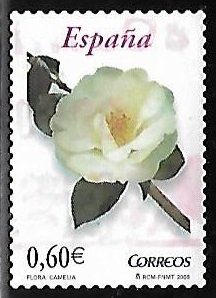 Flora y Fauna - Camelia