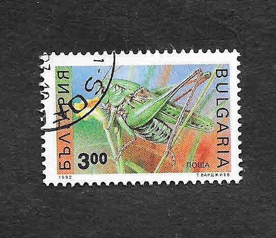 3712 - Saltamóntes
