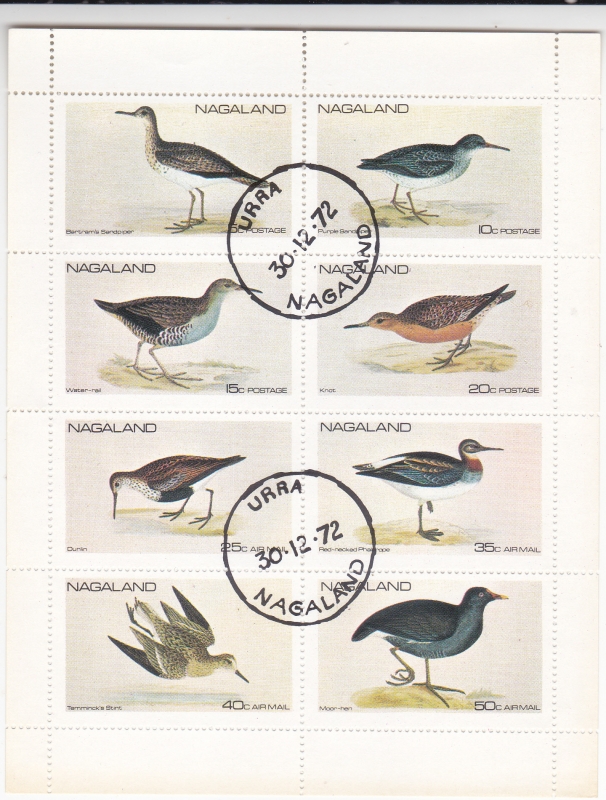 AVES